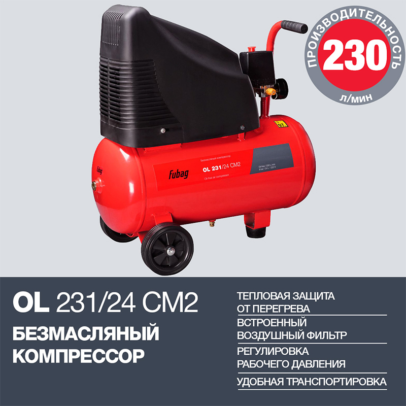 OL231_24_29838376_V2